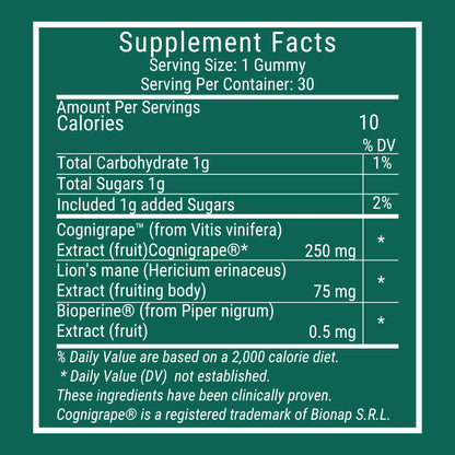 Focus Gummies - Brain & Memory Support
